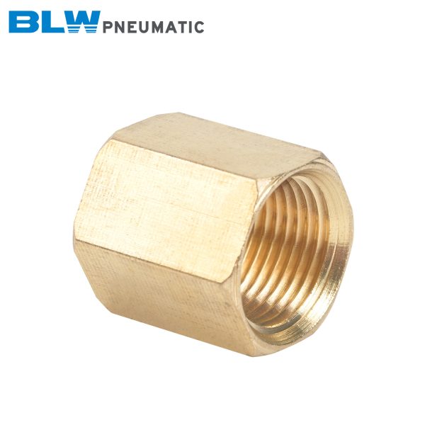 Brass Coupling
