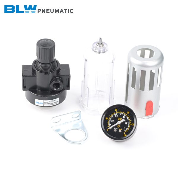 BFR2000-4000 Metal Cover Regulating Filter - 图片 5