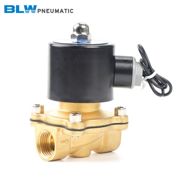 2W Series Brass Solenoid Valve - 图片 2
