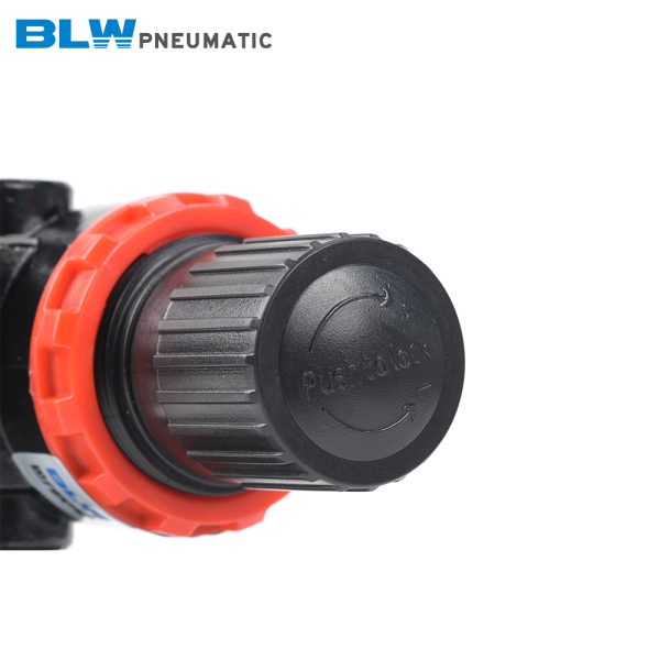 BR2000-4000 Regulator - 图片 4