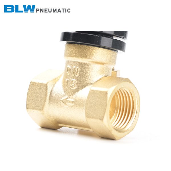 Q22HD Series Pneumatic Control Valves - 图片 4