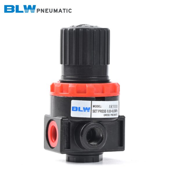 AR2000 Regulator - 图片 4