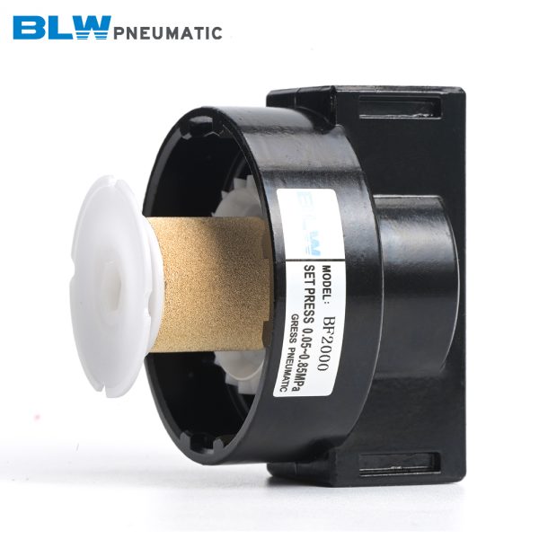 BF2000-4000 Plastic Cover Filter - 图片 5