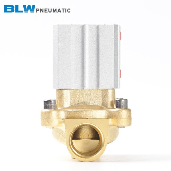 2Q Series Pneumatic Control Valve - 图片 4