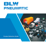 Pneumatic Valve