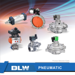 Pulse Valve